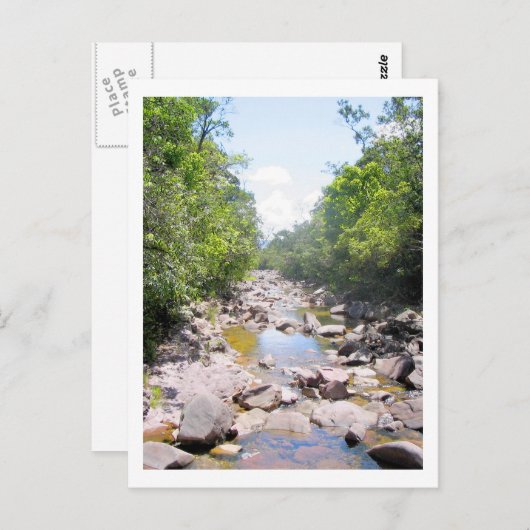 ベネズエラジャングルの風景のクリーク ポストカード (正面/裏面)
