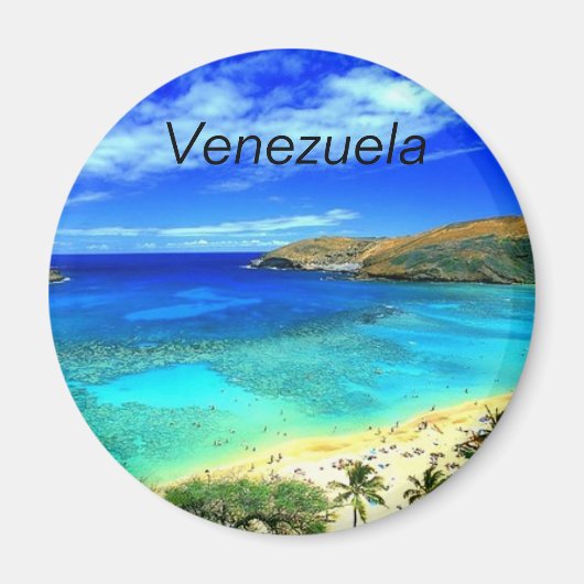 ベネズエラ磁石 マグネット (正面)