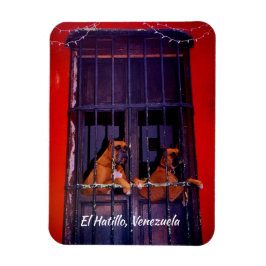 ベネズエラ，エルハティロ マグネット