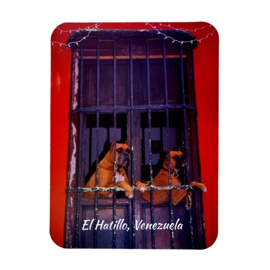 ベネズエラ，エルハティロ マグネット (縦)