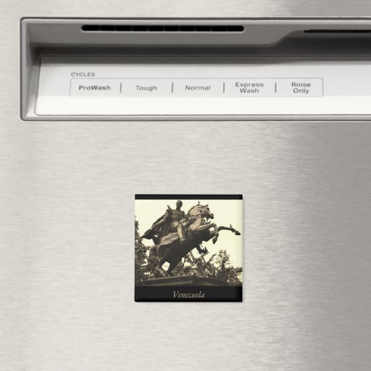 ベネズエラ マグネット (インサイチュ (食洗機))