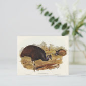 ベネットのカソウィルbyエリザベス・グールド ポストカード (スタンド正面)