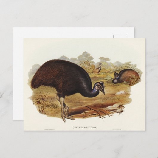 ベネットのカソウィルbyエリザベス・グールド ポストカード (正面/裏面)