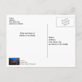 ベネットスプリングブリッジ・トワイライト感謝カード ポストカード (裏面)