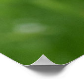 ベネットズワラビー ポスター (角)