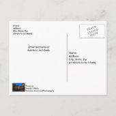 ベネット春ブリッジトワイライトハガキ ポストカード (裏面)