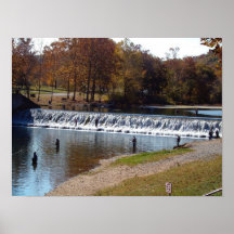 ベネット春ポスター