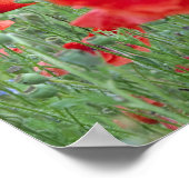 ベノンのポピー畑。 ポスター (角)