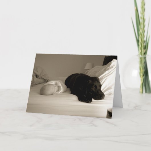 ベビーおよび犬 カード (正面)