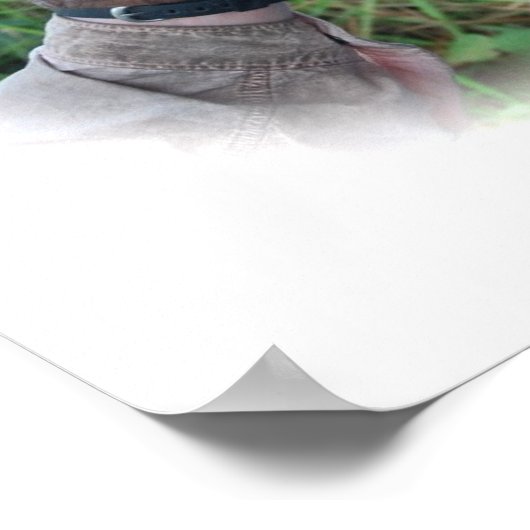 ベビーかわいらしオランウタンのポスター ポスター (角)