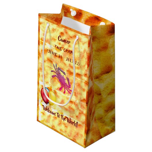 ベビーがん/カニ（6月21日～7月22日） スモールペーパーバッグ (正面アングル)