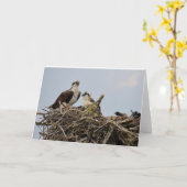 ベビーが付いているミサゴの巣 カード (黄色い花)