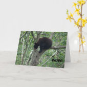 ベビーくまのバースデー・カード カード (黄色い花)