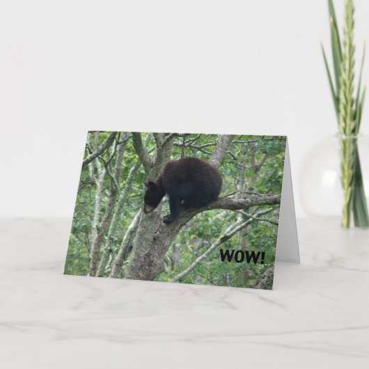 ベビーくまのバースデー・カード カード (正面)