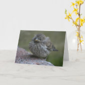 "ベビーすずめ"の写真の挨拶状 カード (黄色い花)