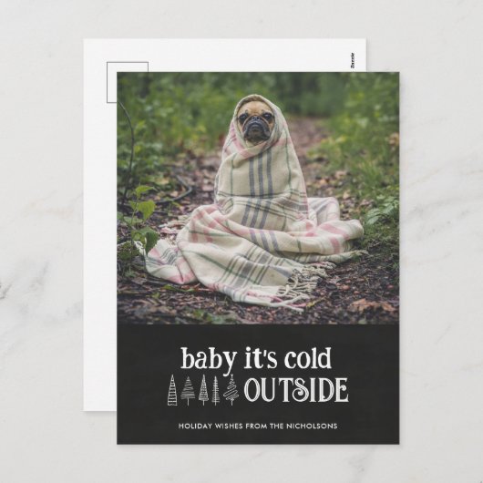 ベビーその冷たい外かわいいペットのホリデーフォト シーズンポストカード (正面/裏面)