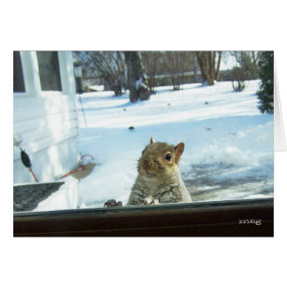 ベビーそれは冷たい外側です