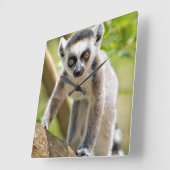 ベビーによってリング後につかれるlemur スクエア壁時計 (傾斜)