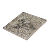 ベビーによって円形後につかれる地上リス家族 タイル (側面)