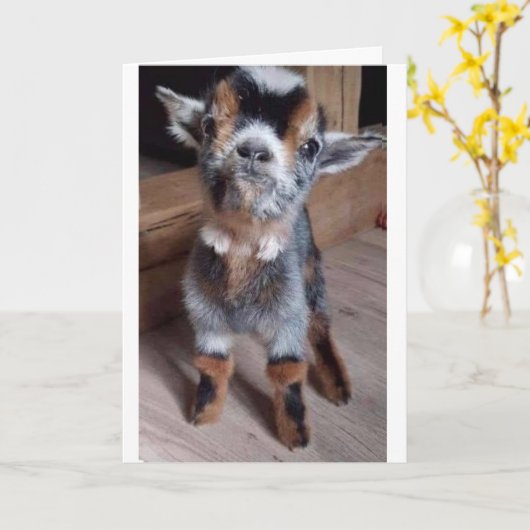 ベビーに「45誕生日めでたい」と言うカードを出す カード (黄色い花)