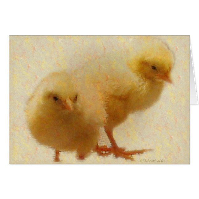ベビーのひよこ (正面横)