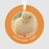 ベビーのひよこ オーナメント (裏面)