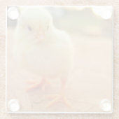 ベビーのひよこ ガラスコースター (裏面)