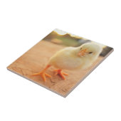 ベビーのひよこ タイル (側面)