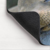 ベビーのアシカ、ガラパゴス諸島 マウスパッド (コーナー)