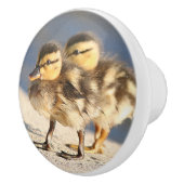 ベビーのアヒルの子ガモの鳥の野性生物動物のノブ セラミックノブ (右)