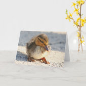 ベビーのアヒルの子ガモカード カード (黄色い花)