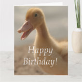 ベビーのアヒルの誕生日の大きい挨拶状 カード (正面)