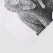 ベビーのアフリカゾウ 薄葉紙 (詳細)