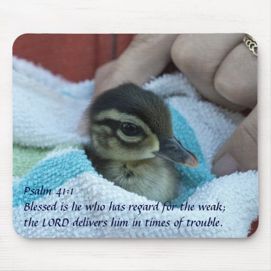 ベビーのアメリカオシ マウスパッド (正面)