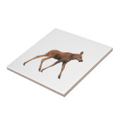 ベビーのアメリカヘラジカのセラミックタイル タイル (側面)