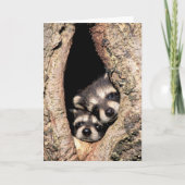 ベビーのアライグマが木から覗き出す カード (正面)