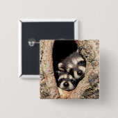 ベビーのアライグマが木から覗き出す 缶バッジ (正面&裏面)