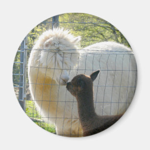 ベビーのアルパカのキスの磁石 マグネット