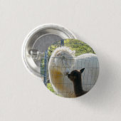 ベビーのアルパカのキスボタン 缶バッジ (正面&裏面)