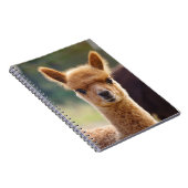 ベビーのアルパカの螺線形ノート ノートブック (右側)