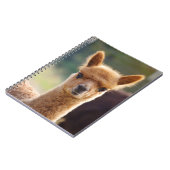 ベビーのアルパカの螺線形ノート ノートブック (左側)