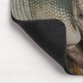 ベビーのアルマジロ マウスパッド (コーナー)