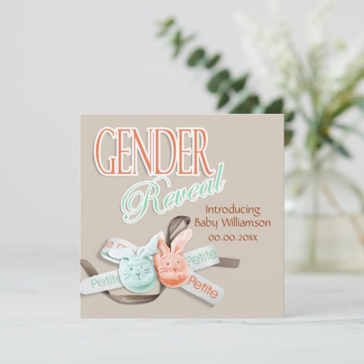 ベビーのウサギの性別を暴く 招待状 (スタンド正面)
