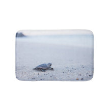 ベビーのウミガメ