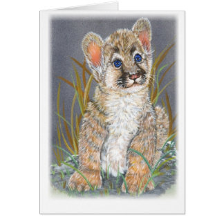 ベビーのオオヤマネコ