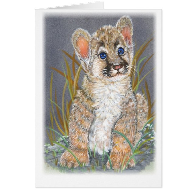 ベビーのオオヤマネコ (正面)