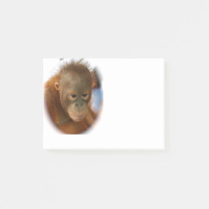 ベビーのオランウータン ポストイット