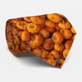 ベビーのカボチャオレンジひょうたんの秋の秋の人のタイ ネクタイ (ロール)