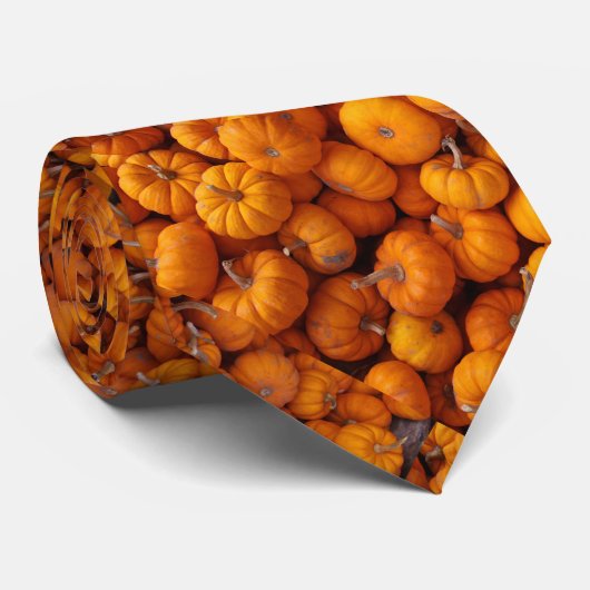 ベビーのカボチャオレンジひょうたんの秋の秋の人のタイ ネクタイ (ロール)