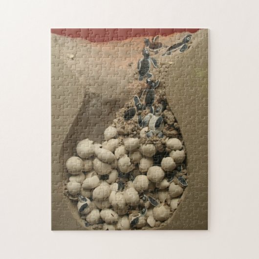 ベビーのカメの卵の工夫 ジグソーパズル (縦)